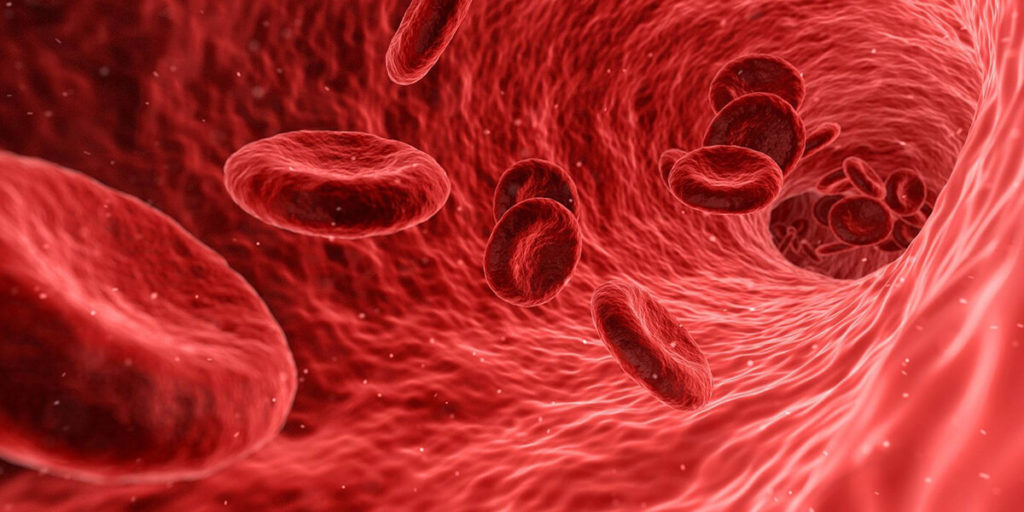 animation of red blood cells in the blood stream
