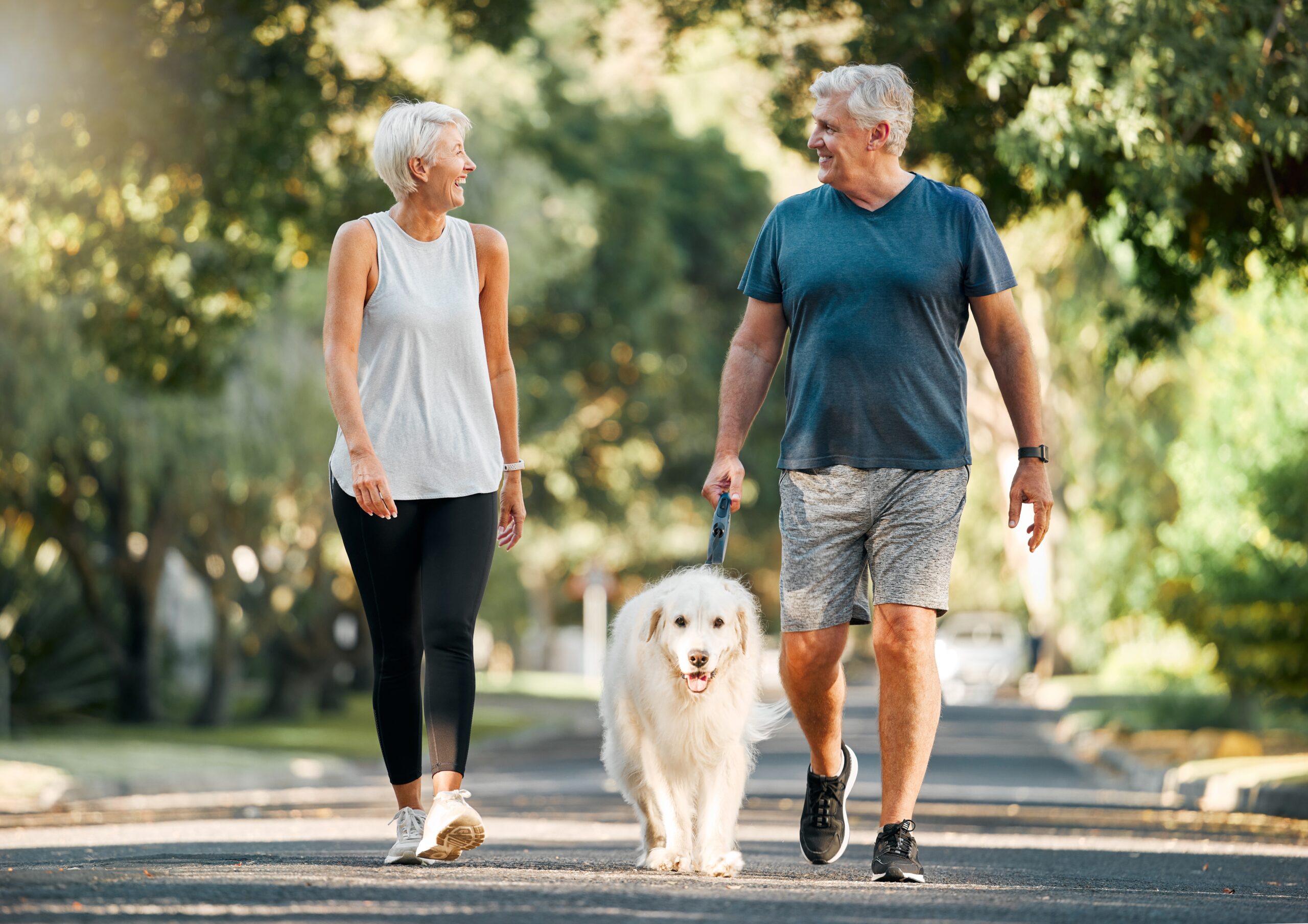Older couple walking their big, white dog down a path in a nice park while smiling at each other.